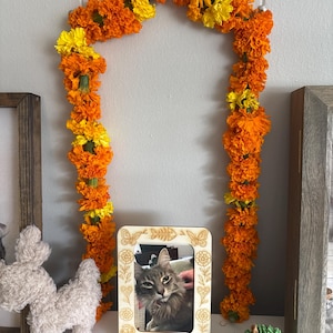 Jett added a photo of their purchase