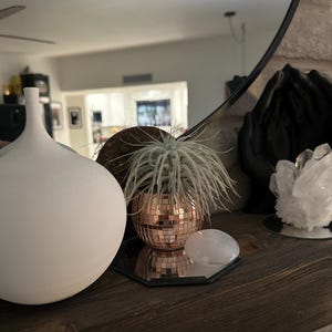 JGP added a photo of their purchase