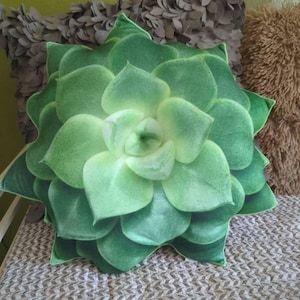 Kelly Schilling added a photo of their purchase