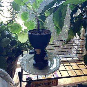 Lela added a photo of their purchase