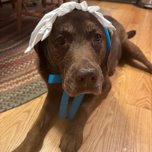 Jackie added a photo of their purchase