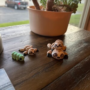 Stephanie added a photo of their purchase