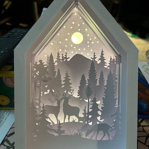 Kim added a photo of their purchase