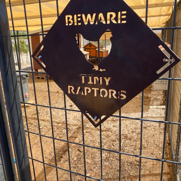 Beware - Tiny Raptors - 18