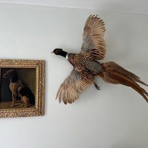 mrsjennifercorcoran2 added a photo of their purchase