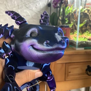 Lisa added a photo of their purchase