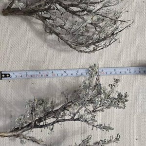 Edward added a photo of their purchase