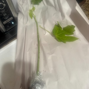 Christopher added a photo of their purchase