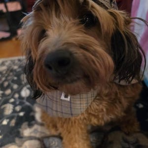 Bonnie added a photo of their purchase