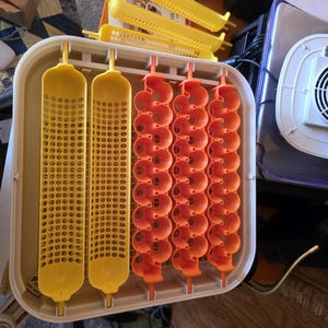 Vince adicionaram uma foto da sua compra