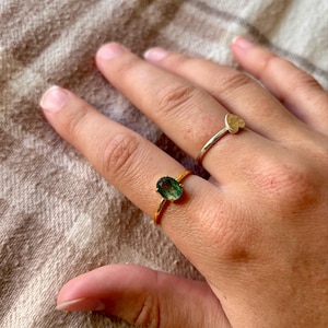 Abbie added a photo of their purchase