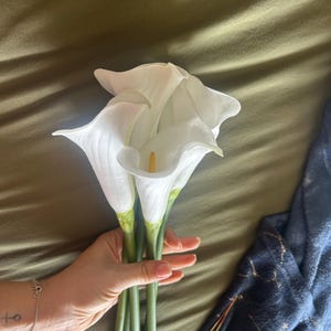 Alice added a photo of their purchase