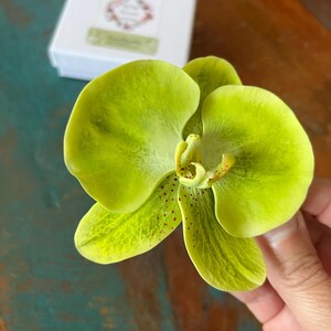 Isabella ha añadido una foto de su compra