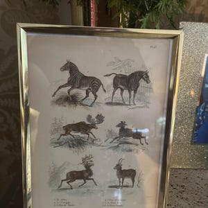 Chantel hat ein Foto des gekauften Artikels hinzugefügt