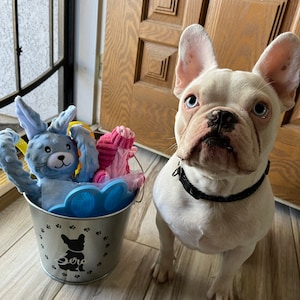Monica added a photo of their purchase
