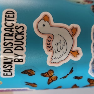 Samantha added a photo of their purchase