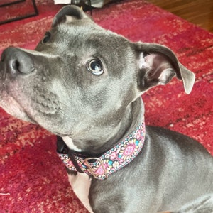 MAGGIE added a photo of their purchase