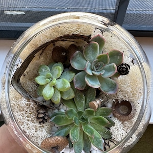 Meylin added a photo of their purchase