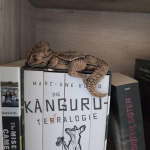 Melissa heeft een foto van zijn/haar aankoop toegevoegd