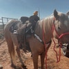 Selle Western Barrel Racing En Cuir - Cristaux - Equitation - Fabriquée En Inde