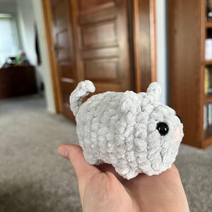 Talitha added a photo of their purchase