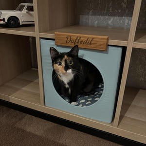 Kyran added a photo of their purchase