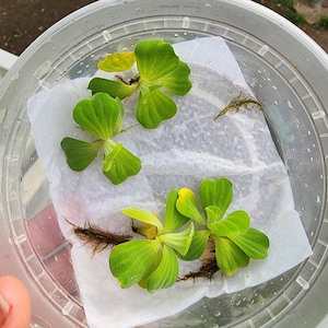Jessica heeft een foto van zijn/haar aankoop toegevoegd