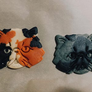 The さんが購入した商品の写真を追加しました