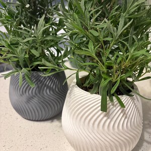 Tracy added a photo of their purchase