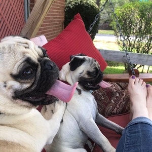Phyllis added a photo of their purchase