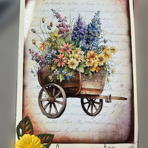 P. added a photo of their purchase