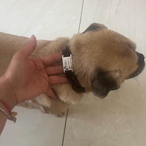 Alejandra ha añadido una foto de su compra
