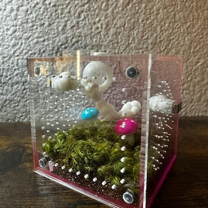 Rachel added a photo of their purchase
