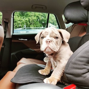 Jen added a photo of their purchase