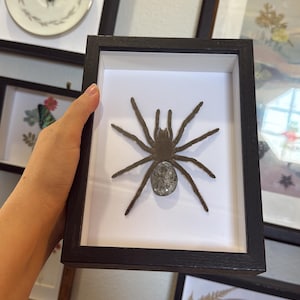 Beck added a photo of their purchase