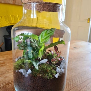 Emma a ajouté une photo de son achat