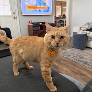 Denton added a photo of their purchase