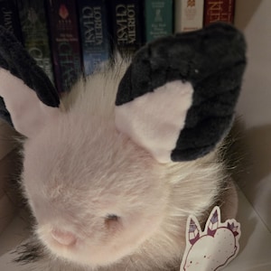 Jennifer added a photo of their purchase