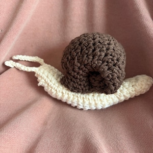 Lucy added a photo of their purchase