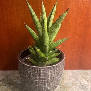 Cristina added a photo of their purchase