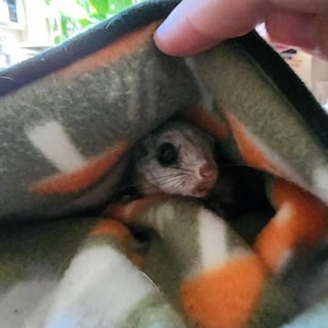 J added a photo of their purchase
