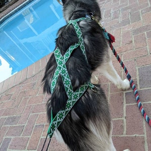 Micaela さんが購入した商品の写真を追加しました