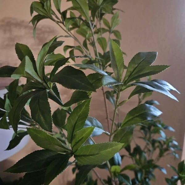 Artificial Japanese Enkianthus Tree Faux - Etsy