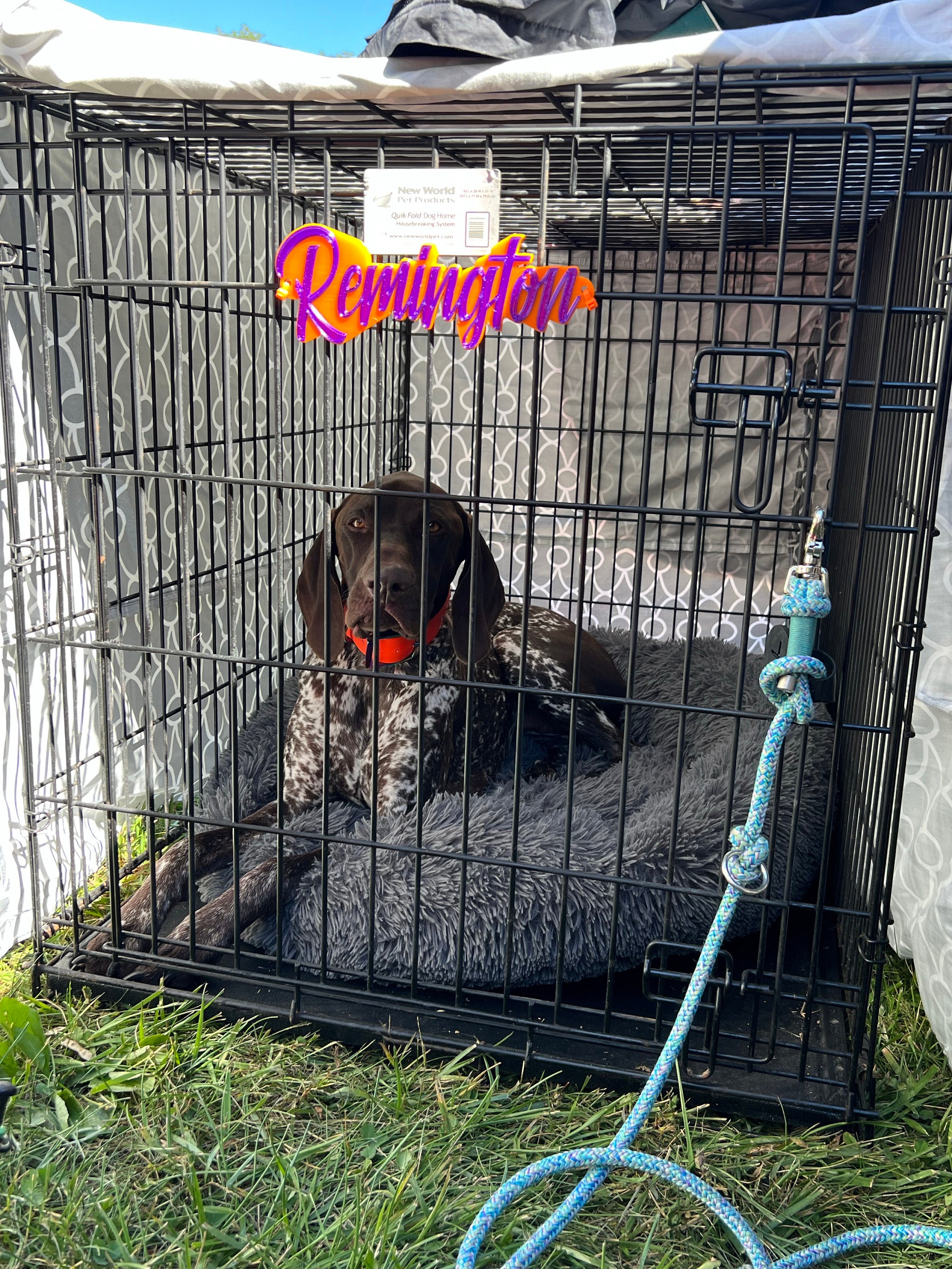 Mr. Brightside Personalized Pet Crate Tag, Dog Kennel Sign