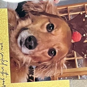 Comprador Etsy adicionaram uma foto da sua compra