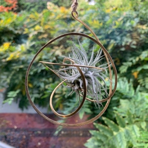 Lindsey さんが購入した商品の写真を追加しました