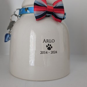 Ryan adicionaram uma foto da sua compra