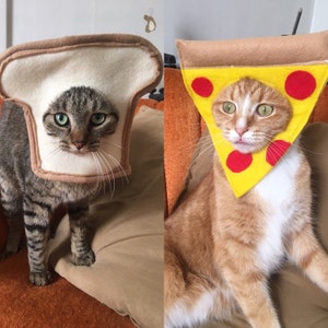 Addie added a photo of their purchase