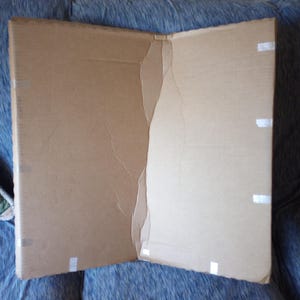 Edmonds added a photo of their purchase