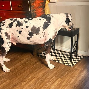 Shannon added a photo of their purchase